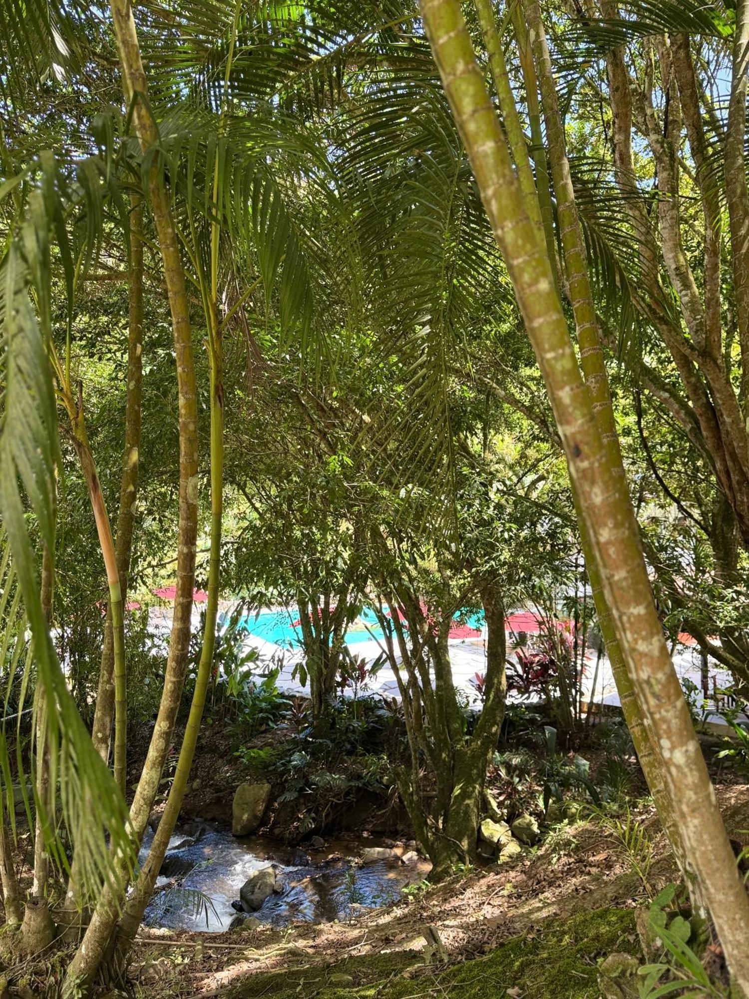 Hotel Rio Perlas Thermal & Cartago