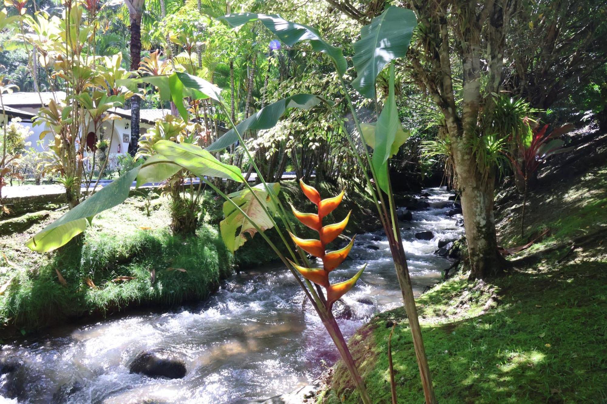 Rio Perlas Thermal & 5* Cartago