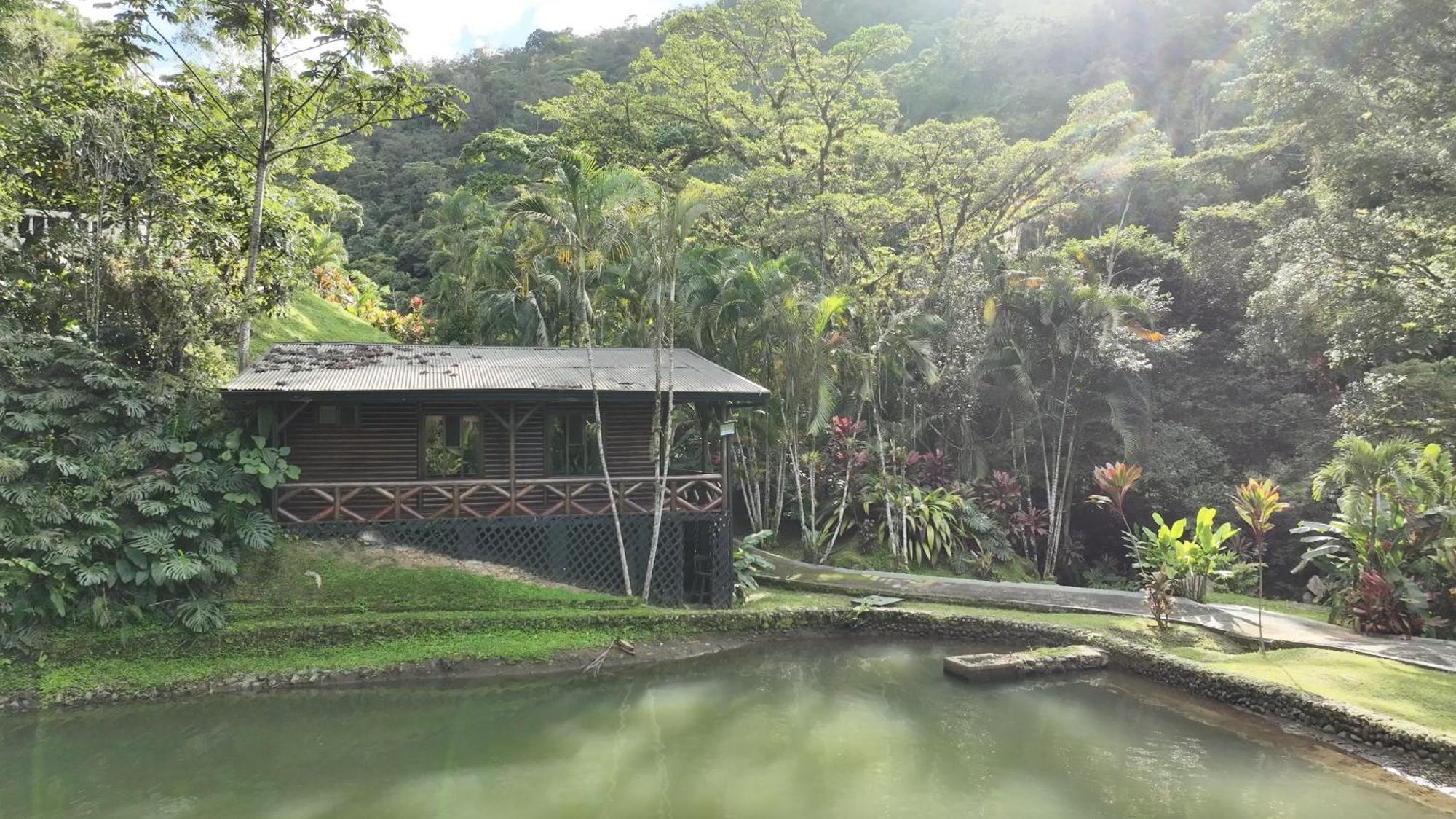 Rio Perlas Thermal & Hotel